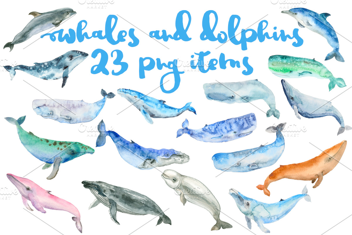 Whale watercolor big set, an Animal Illustration by IvanFet (Photo 1 of 14)