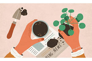 Process of house plant transplanting, an Object Illustration by Good Studio
