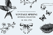 Vintage Spring Botanical Collection, a Seasonal Illustration by Yevheniia (Thumbnail 1 of 14)