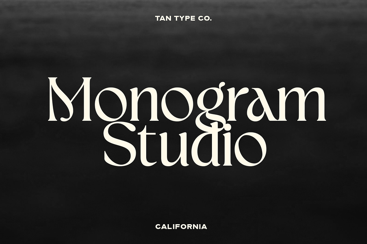 TAN - CALIFORNIA, a Serif Font by TanType (Photo 4 of 16)