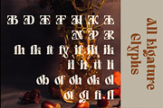 Quivert - Serif Display Font, a Serif Font by Dhabee (Thumbnail 2 of 17)