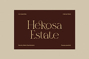 Megita Elegant Serif Font, a Serif Font by Elegant Font (Thumbnail 2 of 8)