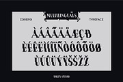Corepix - Glitch Pixel Serif Font, a Serif Font by Drizy (Thumbnail 6 of 10)