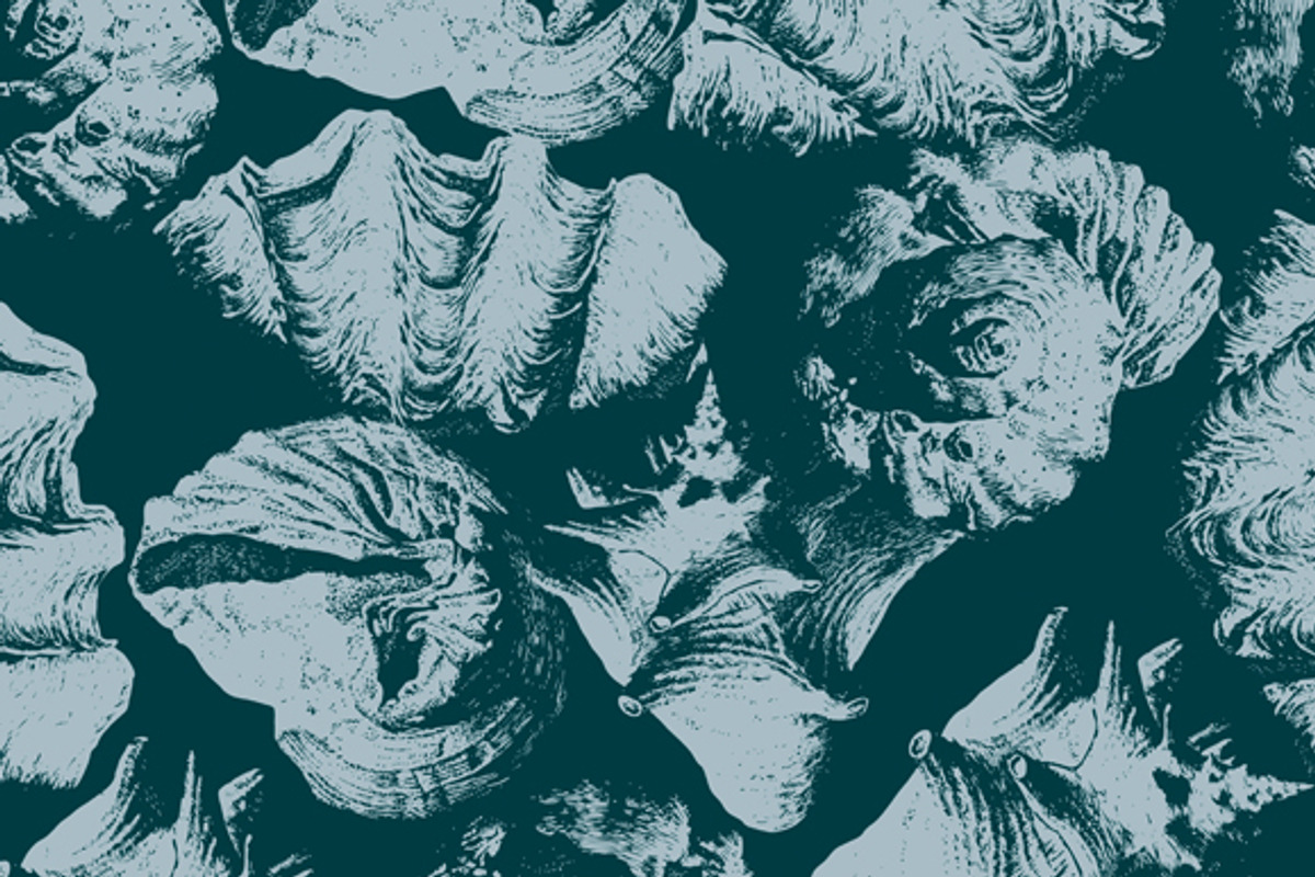 4 seamless patterns with shells, a Pattern Graphic by rednex