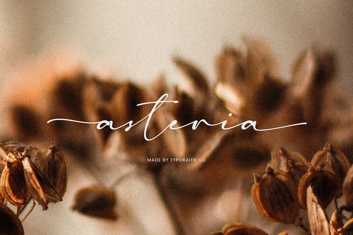Madelisse – Elegant Signature Font, a Script Font by Typoraith Co (Photo 6 of 10)