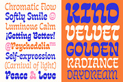 Queenie, a Script Font by Sudtipos (Thumbnail 7 of 8)