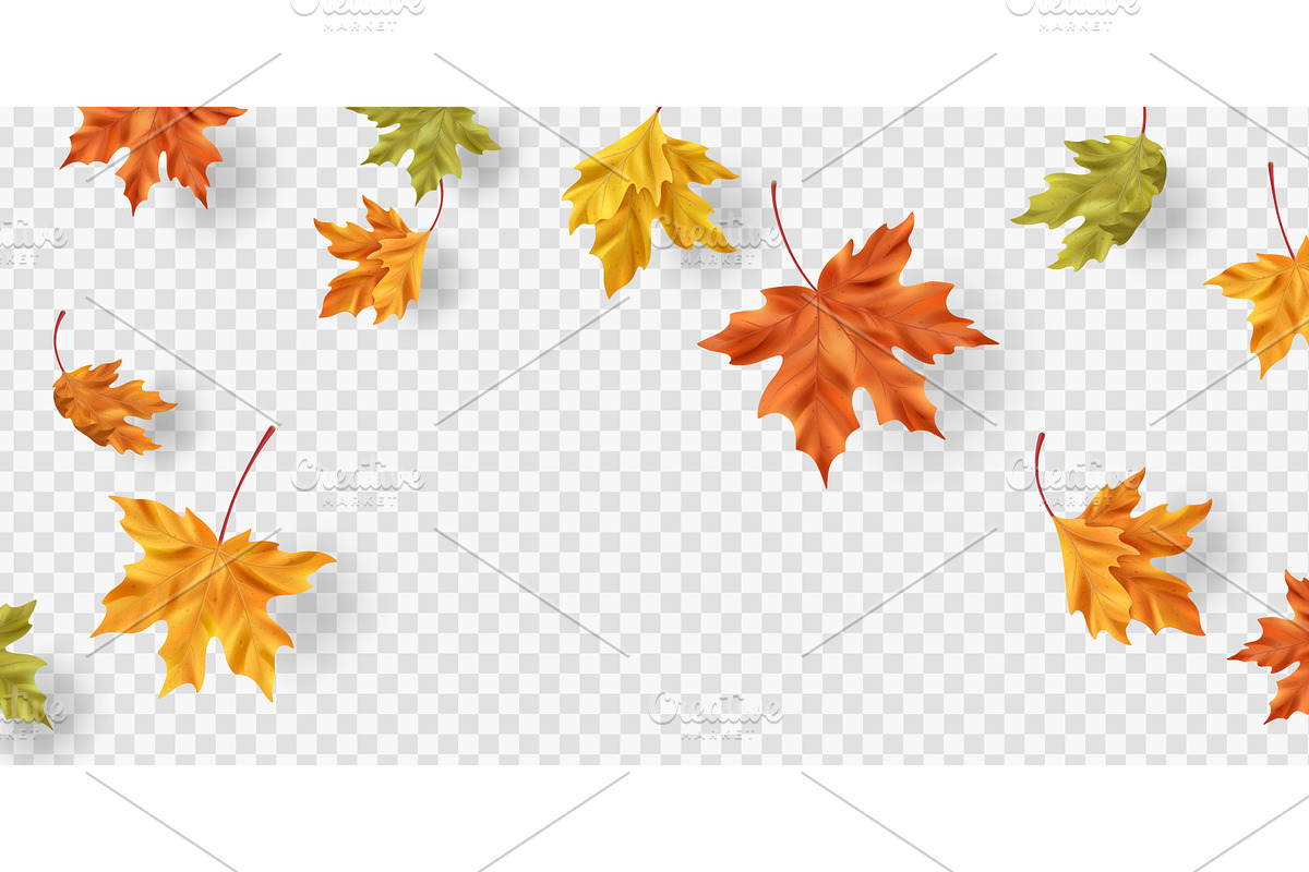 Realistic maple leaf border with, an Object Illustration by art PVP - market
