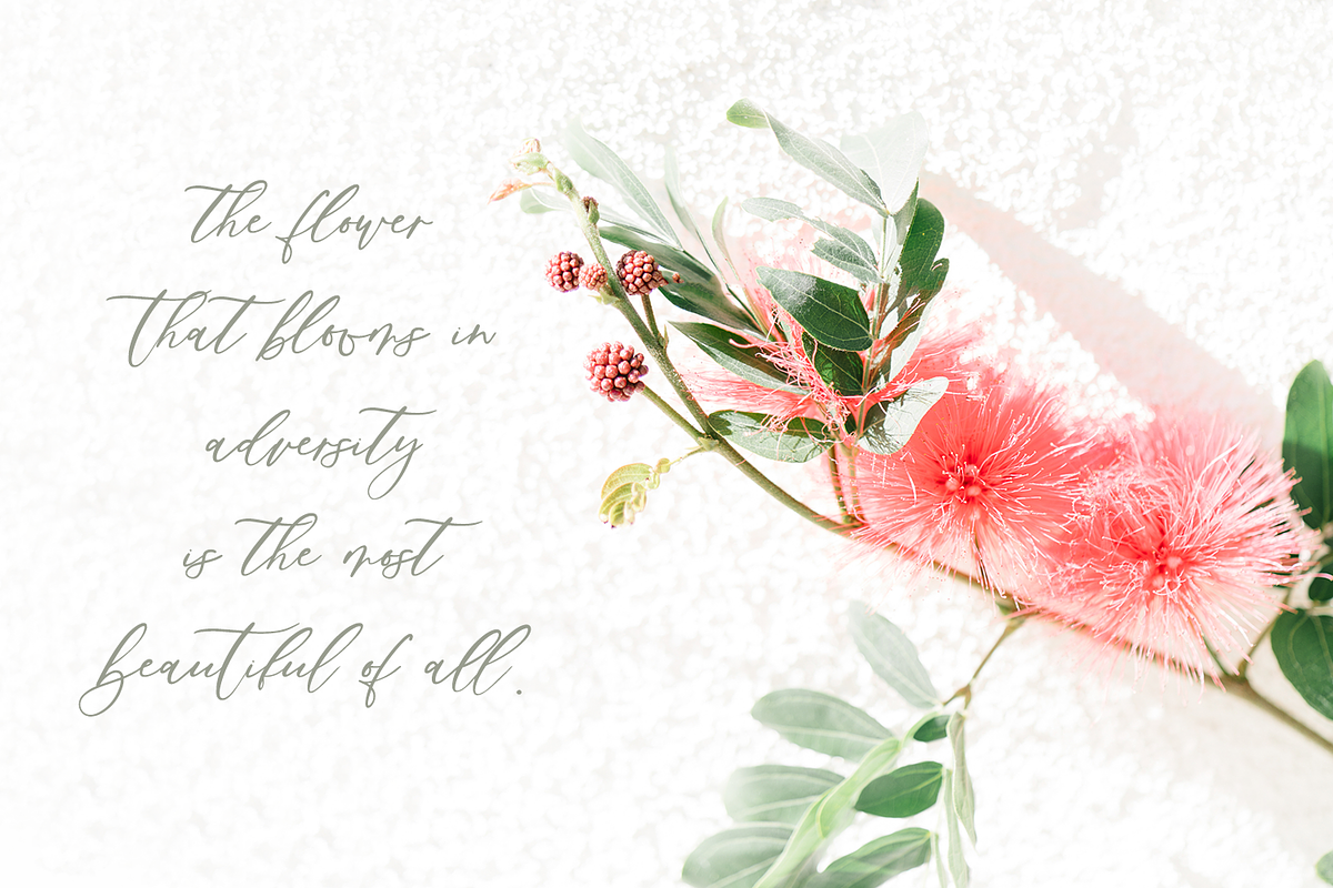 Palm Desert Modern Calligraphy Font preview 4