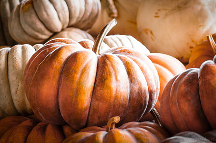 Pumpkins, Autumn, Fall, October
