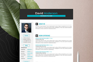 Professional Resume Cv Word Pages