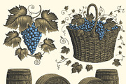 Design set Vine. Vector engraving, a Decorative Illustration by Vector Engraving (Thumbnail 2 of 4)