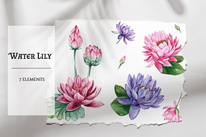 Watercolor Water Lily