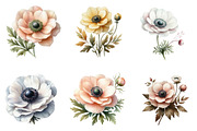 Anemone Flower Bloom Clipart, an Illustration by DreamArtGraphic (Thumbnail 3 of 4)