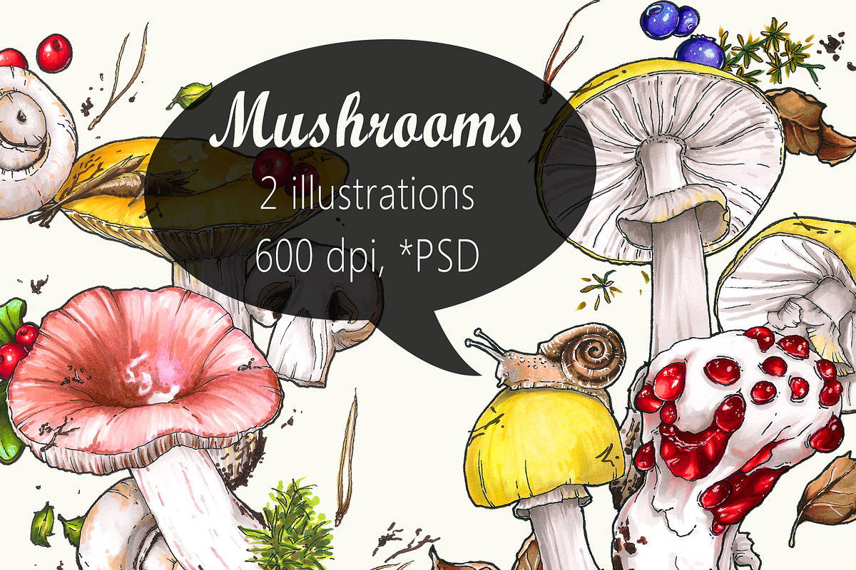 Mushrooms (2 illustrations), an Illustration by 4erta (Photo 1 of 4)