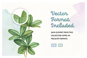 Summer Bloom Watercolor Set, an Animal Illustration by pixelbuddha.net (Thumbnail 4 of 7)
