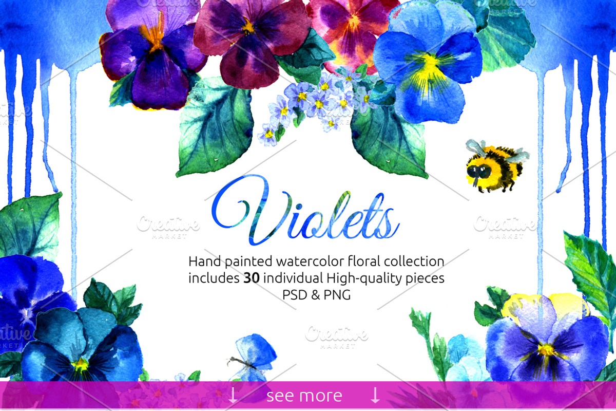 Violets floral collection PSD&PNG, a Decorative Illustration by denisespinoza (Photo 2 of 4)