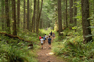 Group of children hiking through, a Photo by Pavel_design