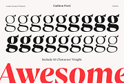 Calibra 20 Fonts | Save 40%, a Serif Font by Mulkan Nazir (Thumbnail 14 of 17)