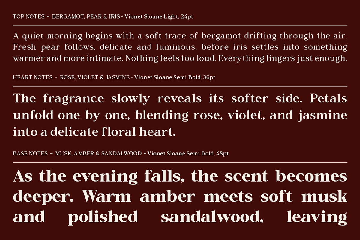 Vioneta Sloane – Serif Font, a Serif Font by roomspace creative lab (Photo 13 of 14)