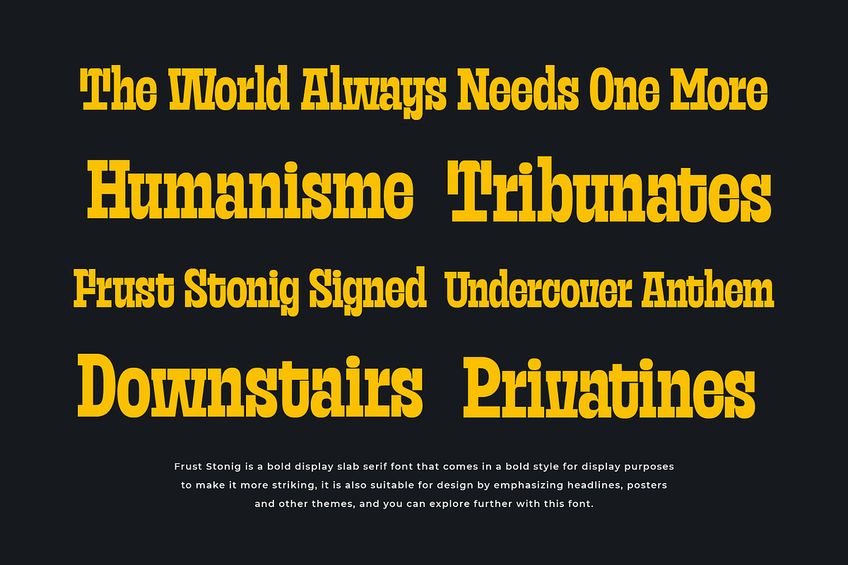 Frust Stonig - Inktrap Slab Serif, a Slab Serif Font by Variatype (Photo 5 of 12)
