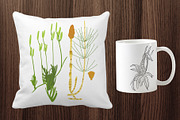 Botanical Line Art Bundle, an Illustration by Graphic Cook (Thumbnail 7 of 8)