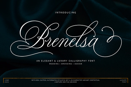 Brenelsa, a Script Font by JamalCreativeStudio