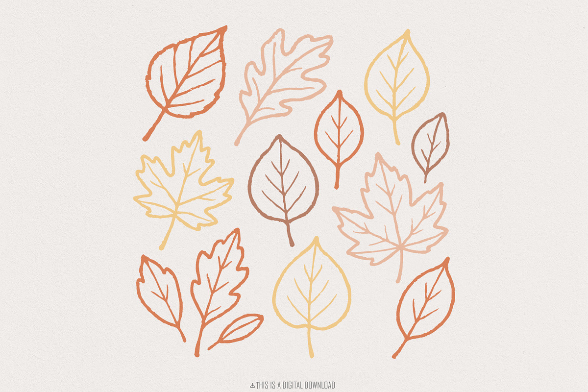 Autumn Leaves PNG, Fall Leaves PNG,, an Illustration by SharpMarketplace (Photo 1 of 9)