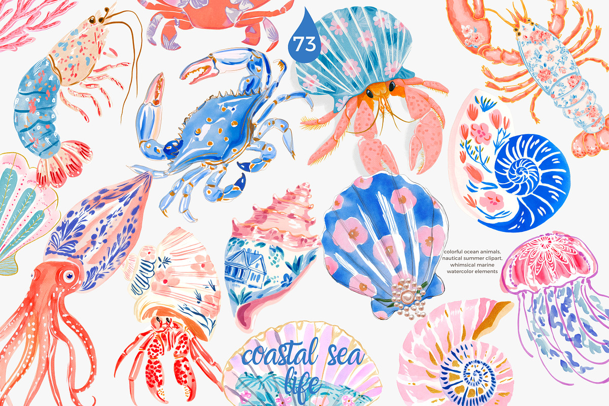 Preppy coastal clipart set, a Decorative Illustration by Patishop Art (Photo 1 of 15)