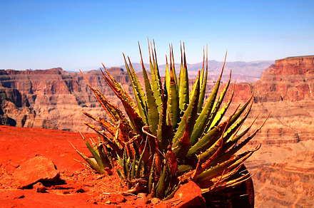 Grand Canyon Landscape Containing Grand Canyon Arizona And Usa preview 6