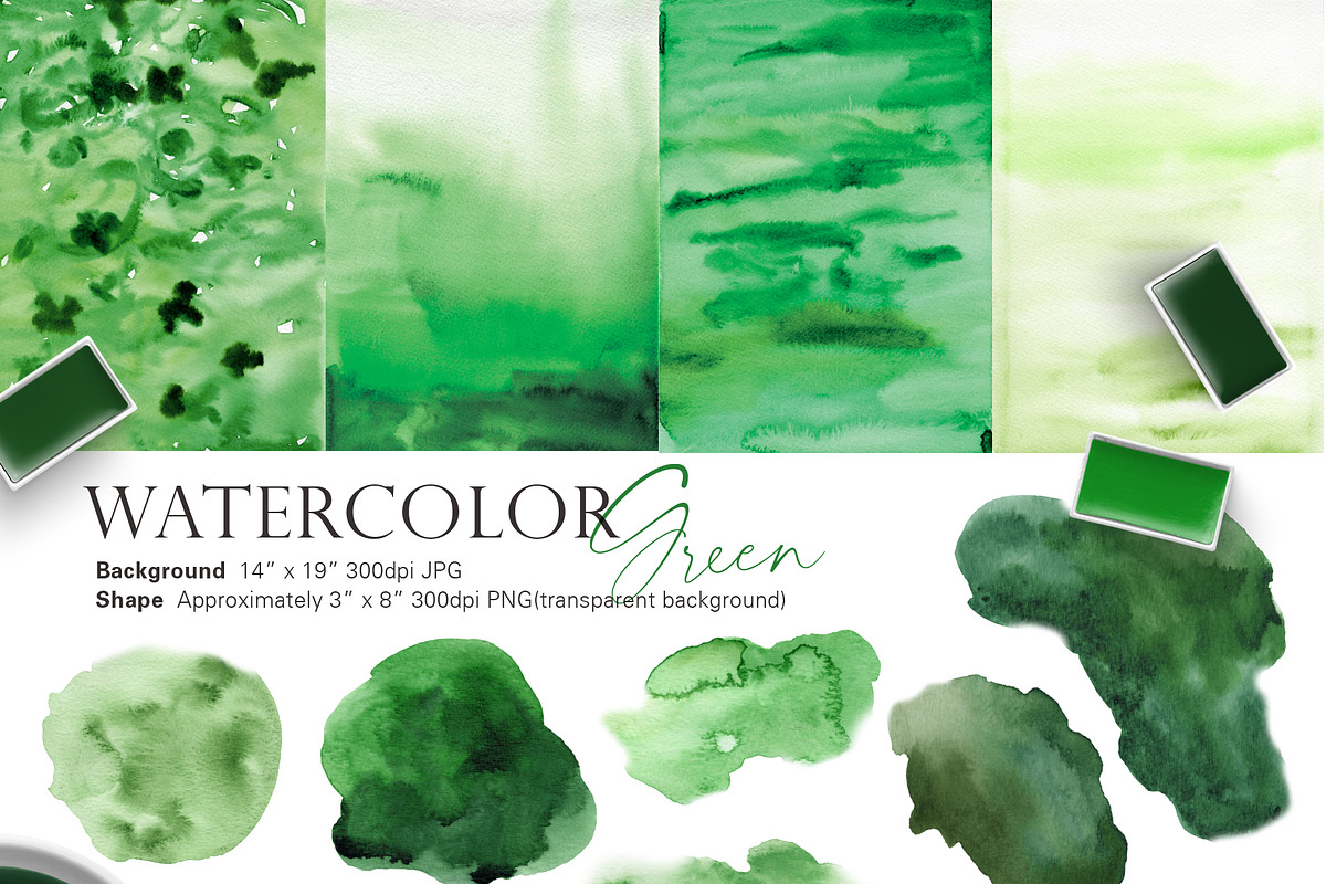 OASIS green - Wedding clipart, an Illustration by Beigetime (Photo 11 of 11)