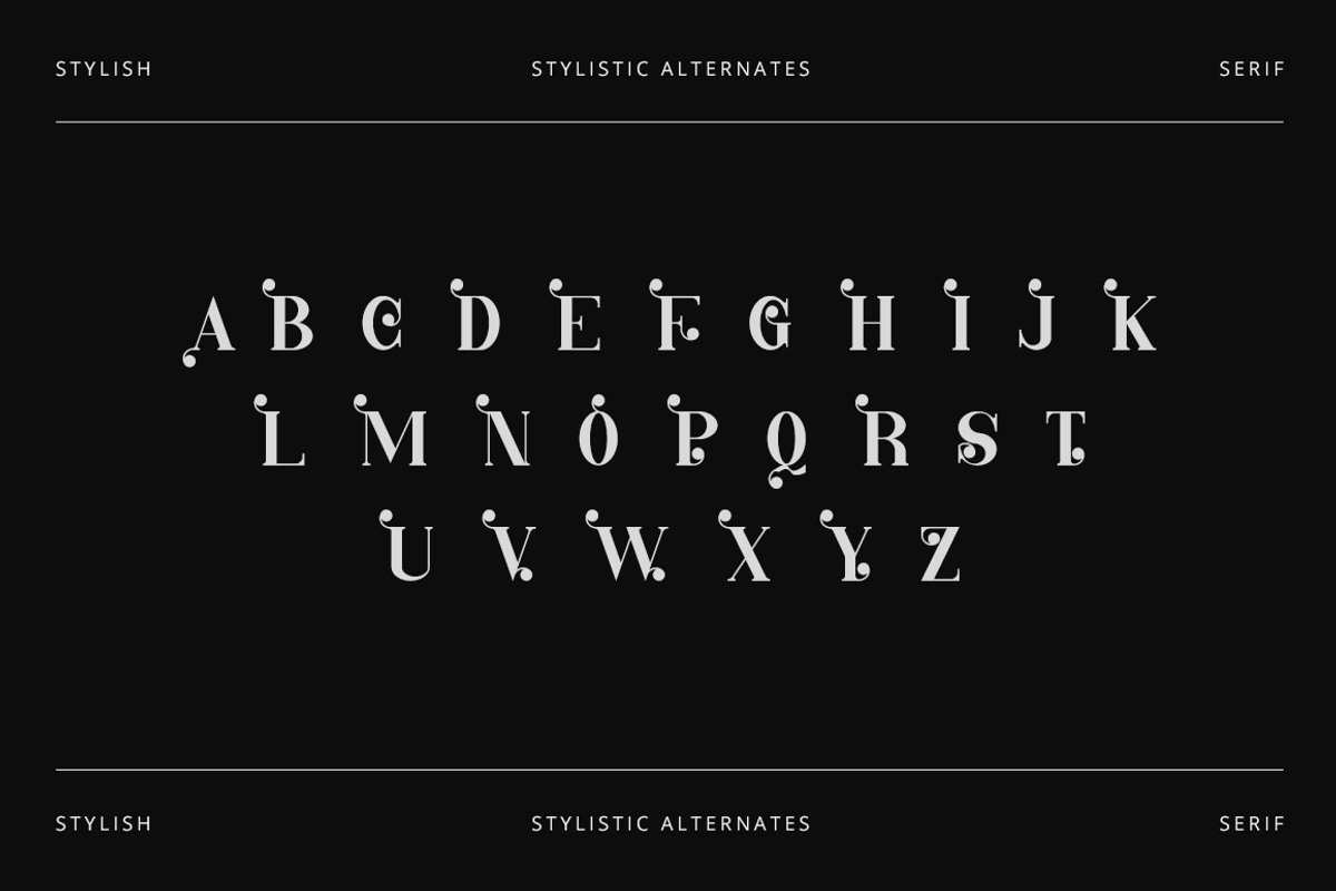 Captain Eagles - Modern Stylish, a Serif Font by RockboyStd (Photo 11 of 12)