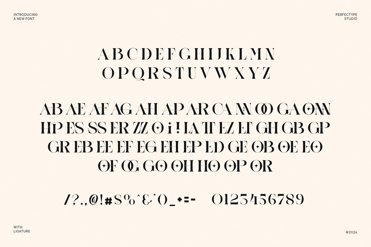 Onnier Elegant Ligature Serif Font T, a Serif Font by Perfectype (Photo 6 of 6)