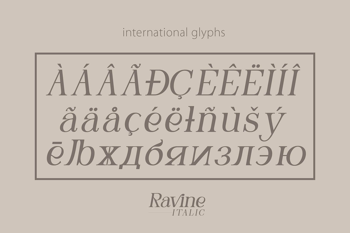 RAVINE ITALIC, a Serif Font by Olexstudio (Photo 8 of 8)