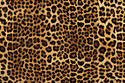 Safari Animals Skin Print Texture, a Graphic by UniqueMe (Thumbnail 21 of 21)