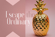 Anteric - Typeface | 3 weights, a Serif Font by VP Fonts (Thumbnail 3 of 10)