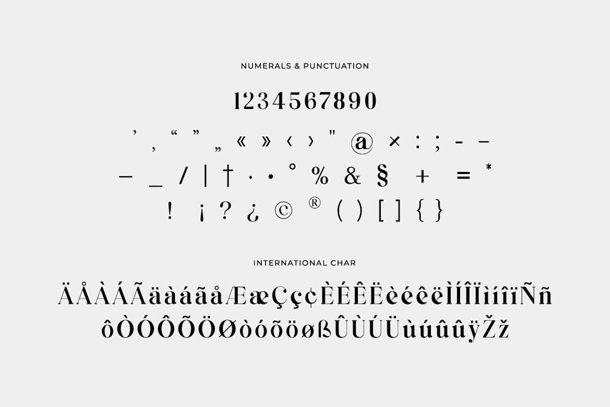 Asimilates Modern Classic Serif Font, a Serif Font by UICreative (Photo 8 of 13)