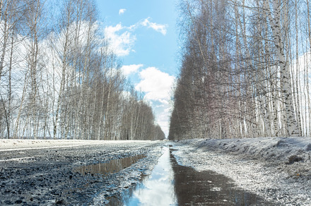 Road in Russia forest with covered s, a Nature Photo by AlexBush