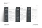 Stylish Resume Design Template, a Resume Template by GraphicFlava (Thumbnail 3 of 8)