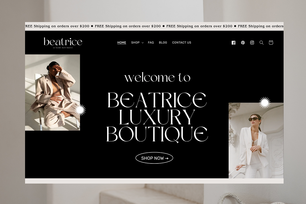 Beatrice Noir - Luxury Shopify Theme, a Shopify Template by Studio Zash (Photo 10 of 13)