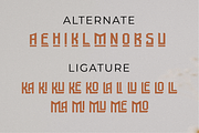 Mallovice a ethnic display font, a Symbol Font by Javatype Studio (Thumbnail 9 of 10)