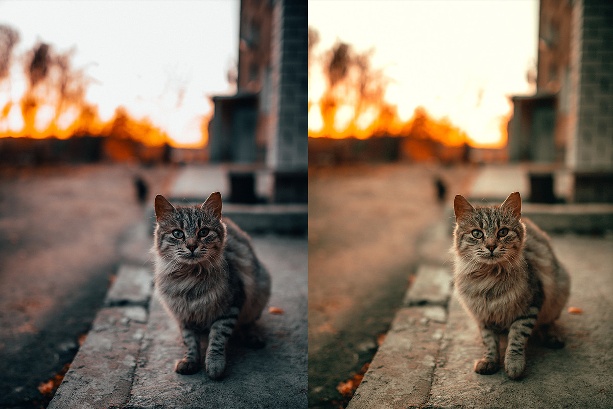 Soft | Photoshop Actions, an Action Add-On by Filterlate (Photo 4 of 7)