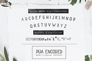 Berson Dream Font TRIO and extras, a Script Font by BlackCatsMedia (Thumbnail 10 of 15)