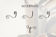 History | Script Font, a Handwritten Font by Scratchones (Thumbnail 8 of 9)