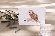 Wizarding World Watercolor set, a Decorative Illustration by Yakovleva Margarita (Thumbnail 5 of 20)