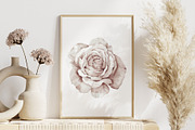 Watercolor White Rose Vector Set, a Graphic by Deckar_art (Thumbnail 3 of 5)