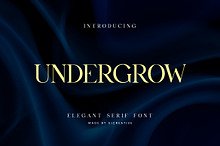 Undergrow Elegant Serif Font