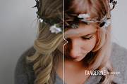 Tangerine Presets - Lightroom & ACR, an Action Add-On by Presetrain Co. (Thumbnail 3 of 12)