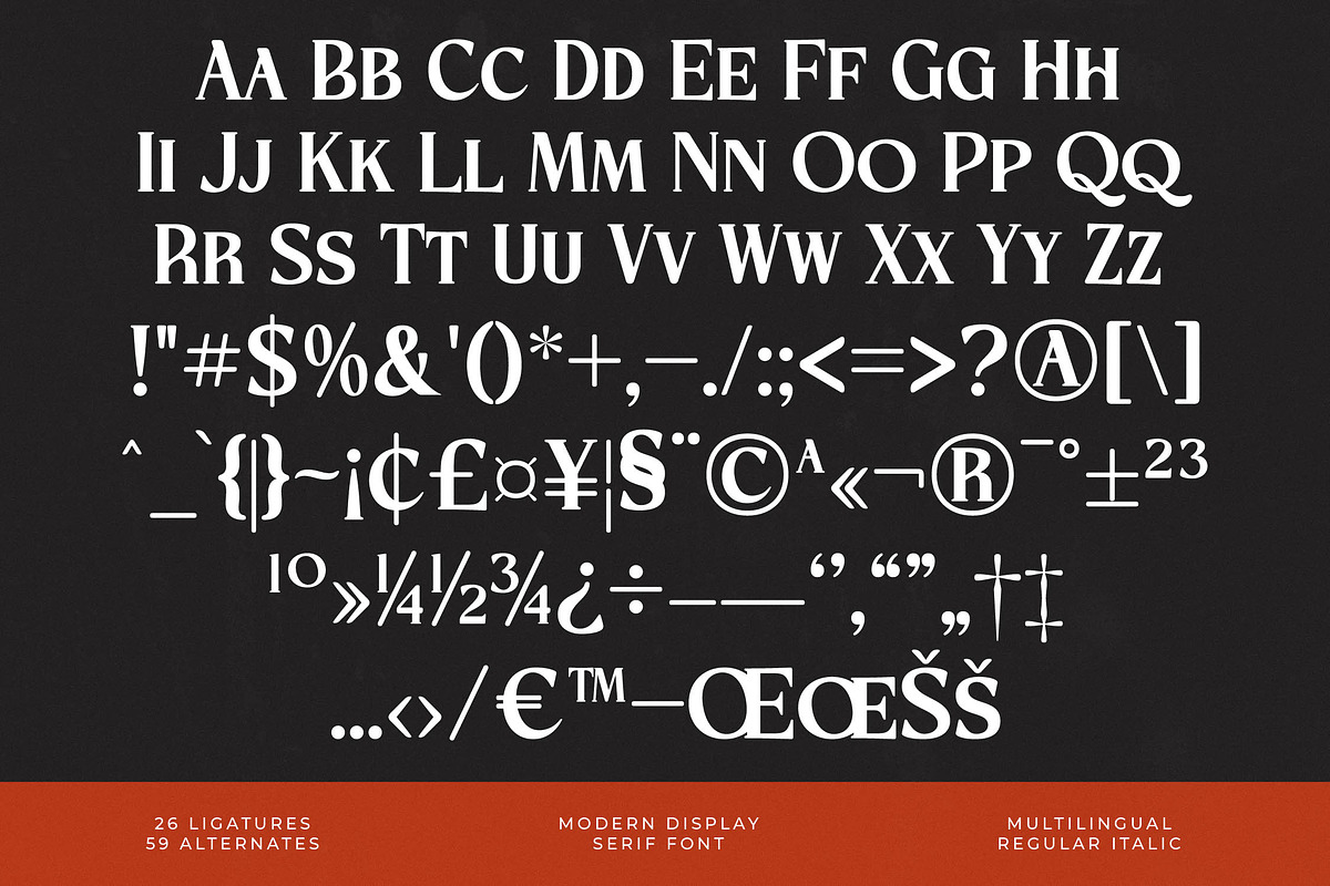Storm Blokade Modern Display Serif, a Serif Font by timelesstype.co (Photo 19 of 20)