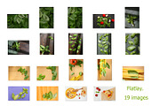 Basil leaves and herb, 100 images, a Food & Drink Photo by Pullia (Thumbnail 6 of 7)