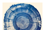 Natt Collection · Organic Tree Rings, a Texture Illustration by milatovar (Thumbnail 17 of 19)